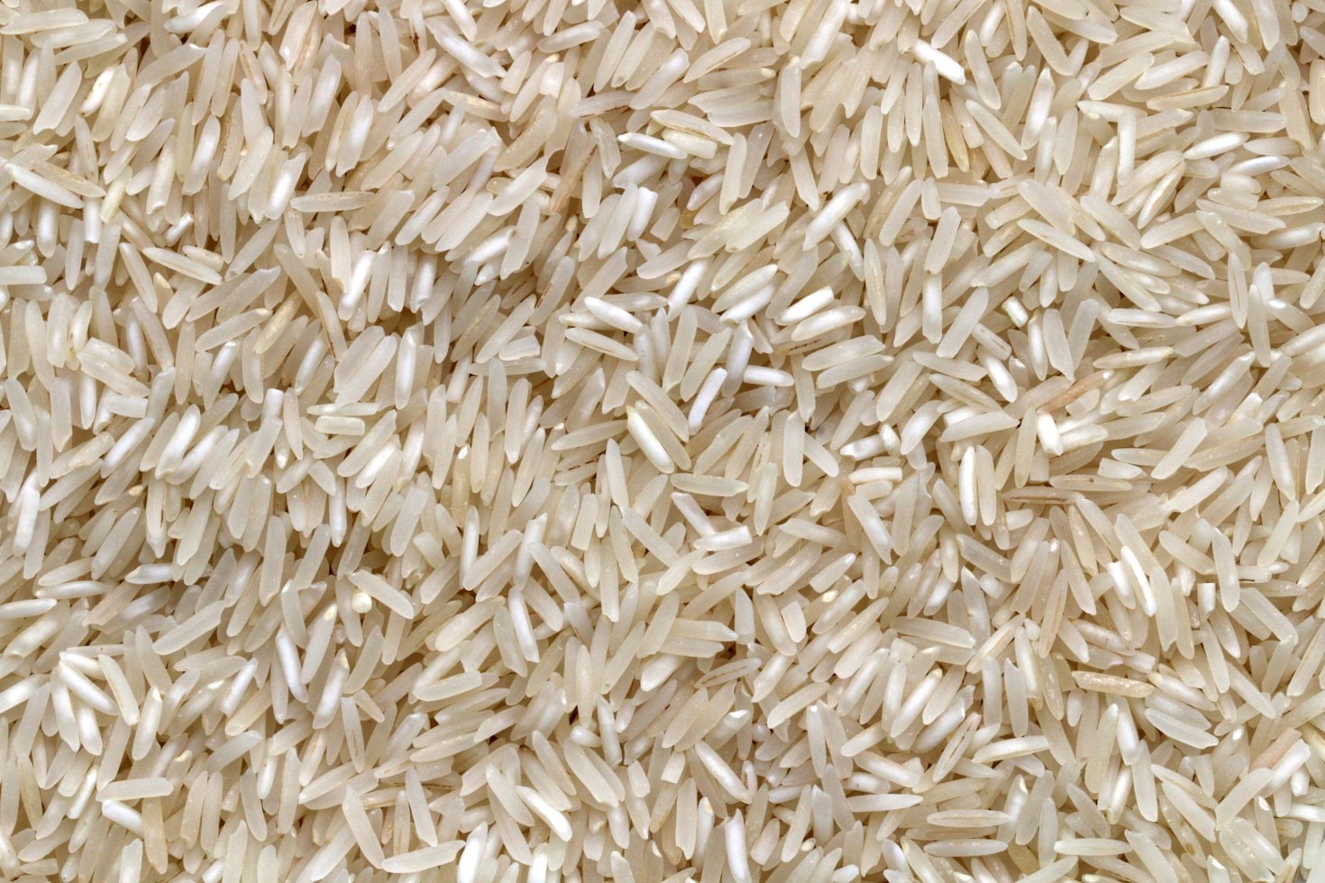 Innovations in Sustainable Rice Farming